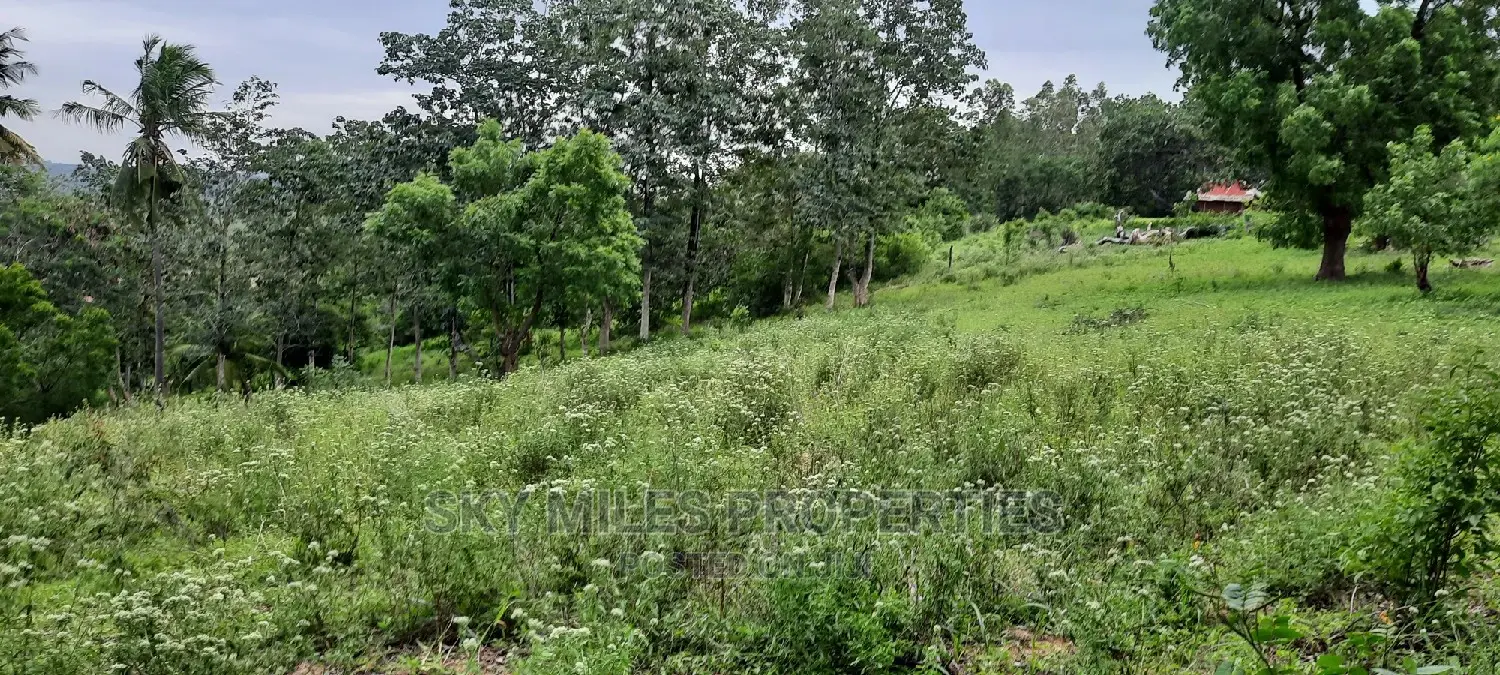 Mtwapa's 2.2-acre Creekside Beach Plot - Now Available in Mtwapa