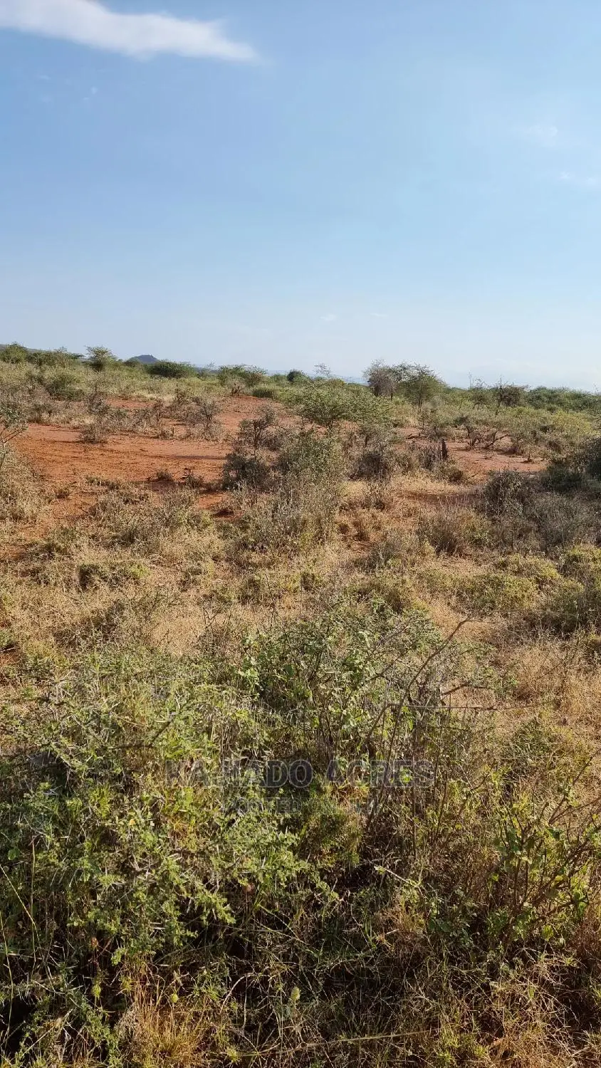 8-Acre Farmland in Nkorika - Ideal for Your Agricultural Venture! in Ewaso Kendong