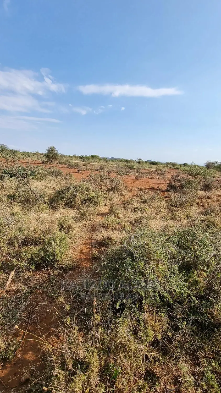 8-Acre Farmland in Nkorika - Ideal for Your Agricultural Venture! in Ewaso Kendong
