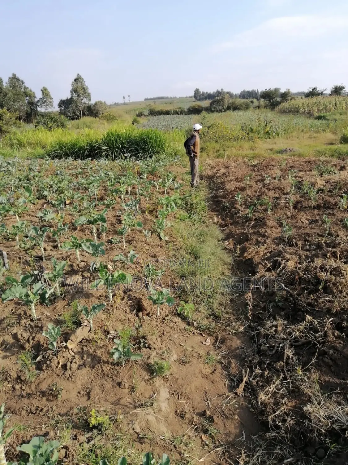 Invest in Naivasha Land: Your Gateway to a Brighter Future! in Naivasha