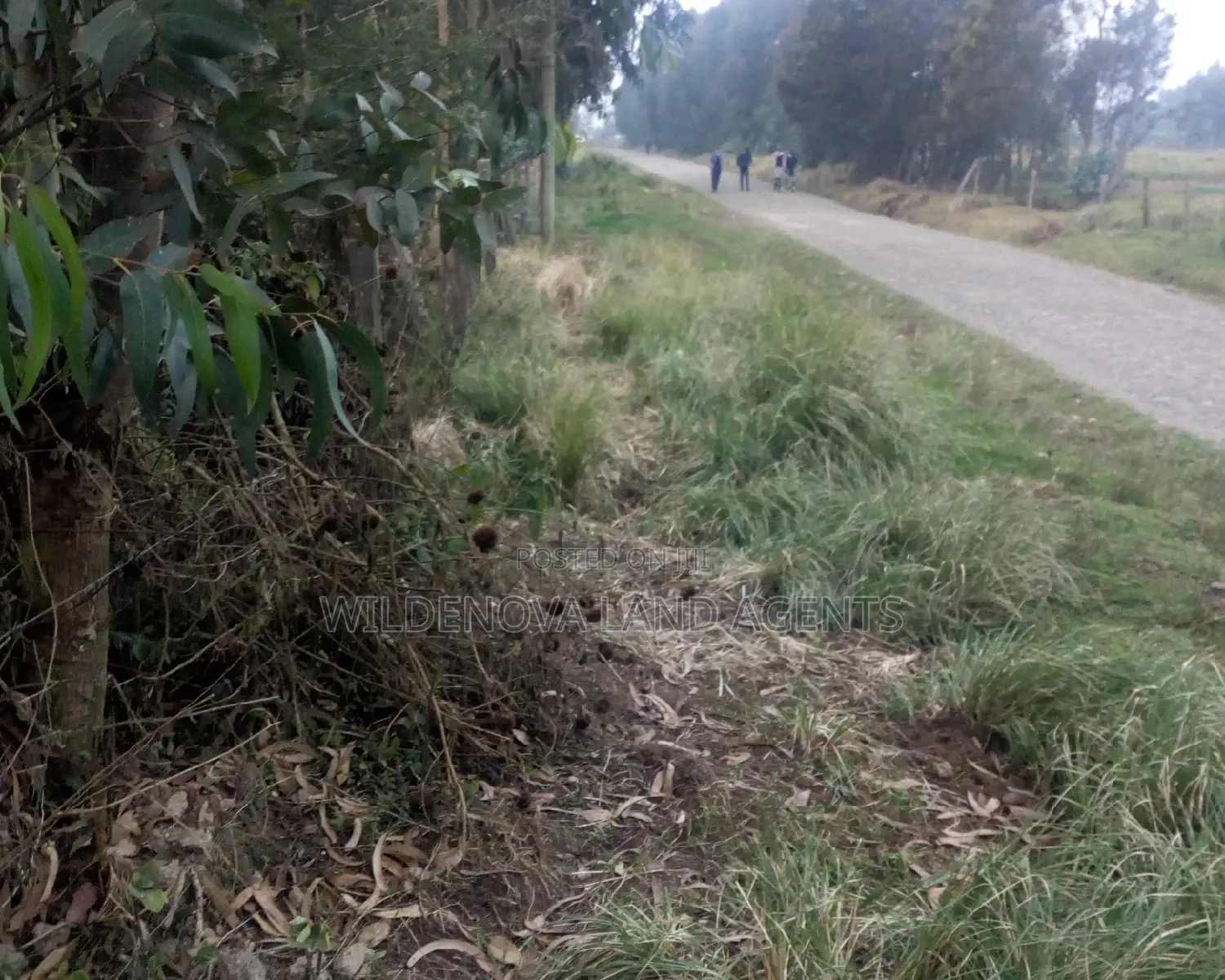 2 Acres of Land in Nyakio Kinangop: Ideal for Investment in Magumu