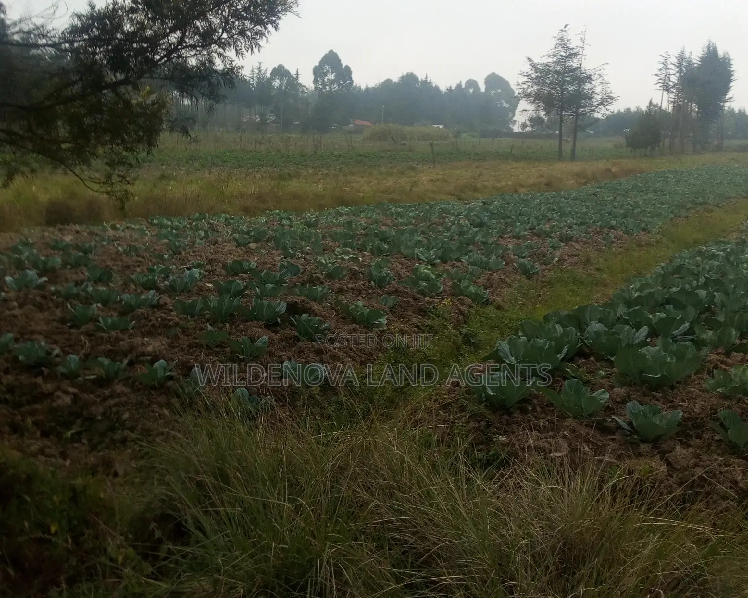2 Acres of Land in Nyakio Kinangop: Ideal for Investment in Magumu