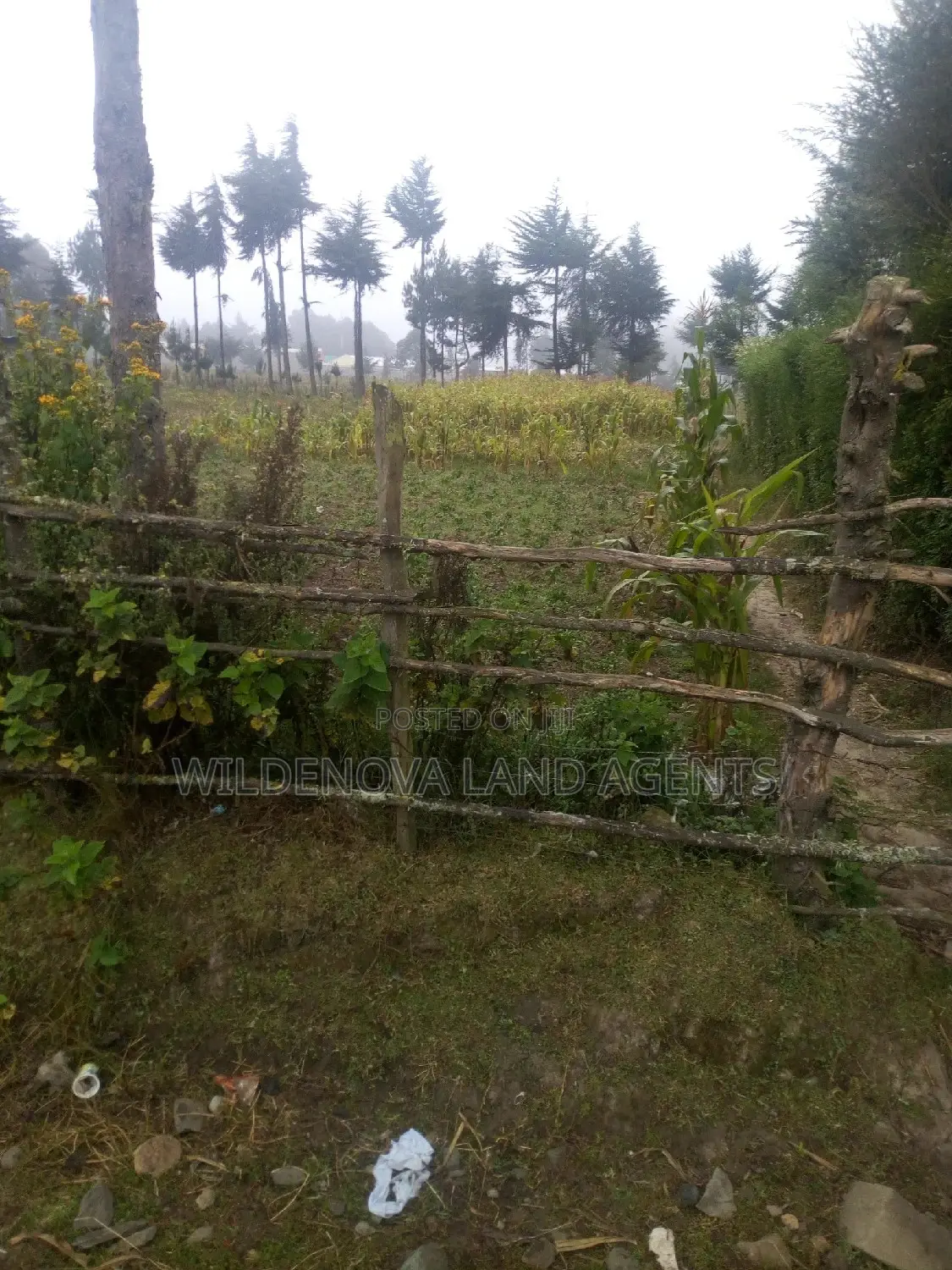 Spacious 100*100 Plot for Sale in Soko Mpya Magumu Kinangop in Magumu