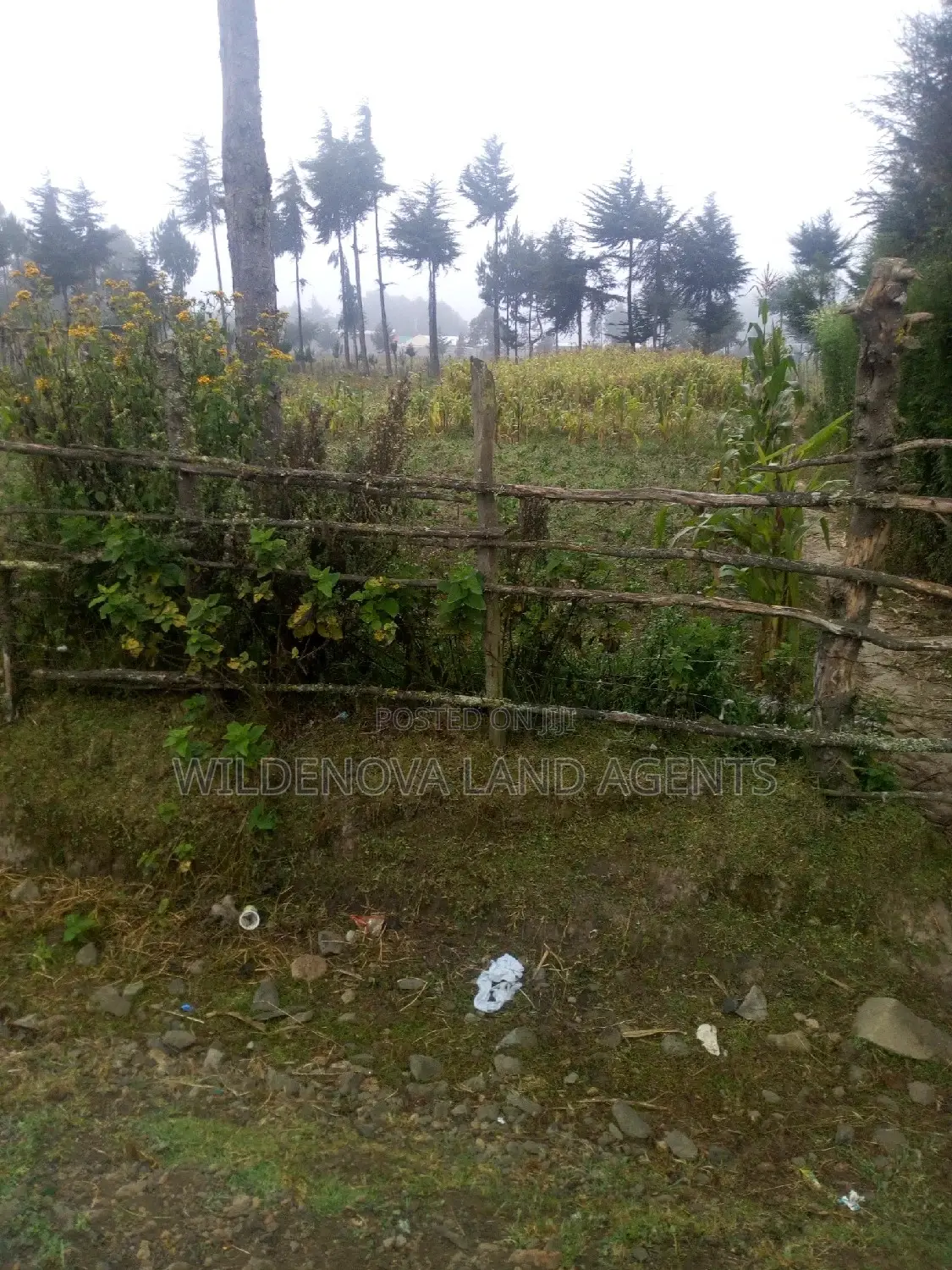 Spacious 100*100 Plot for Sale in Soko Mpya Magumu Kinangop in Magumu
