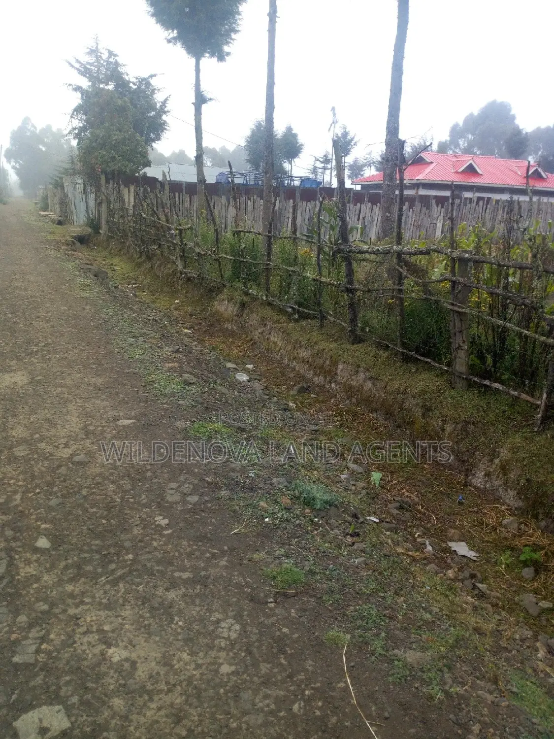 Spacious 100*100 Plot for Sale in Soko Mpya Magumu Kinangop in Magumu