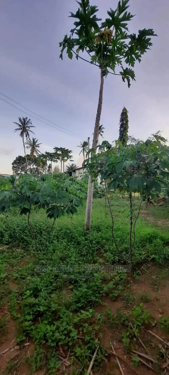 Spacious 3-Bedroom Bungalow in Mtwapa's Jumba Ruins Way - For Sale in Mtwapa