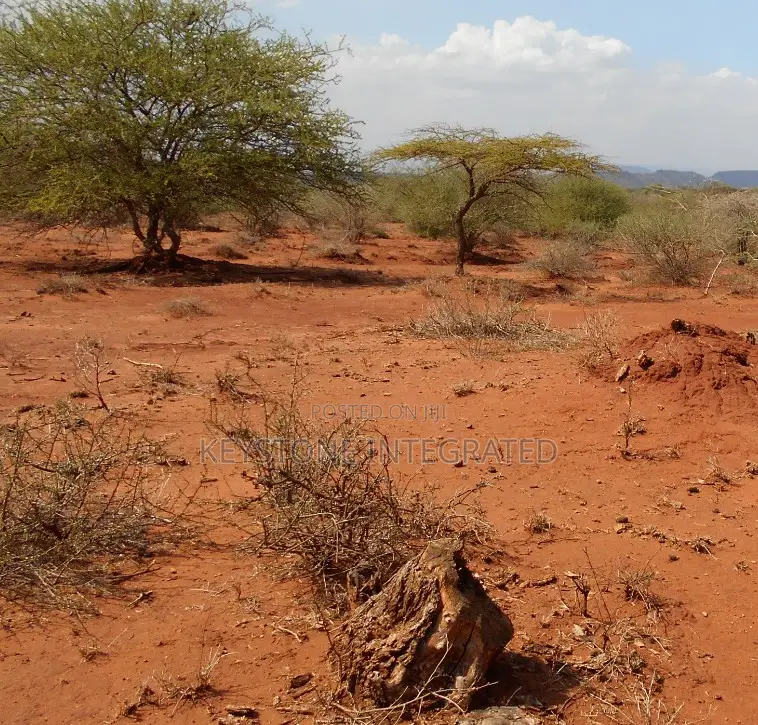 1/8 Acre Land for Sale in Saikeri,Kajiado in Ole Polos