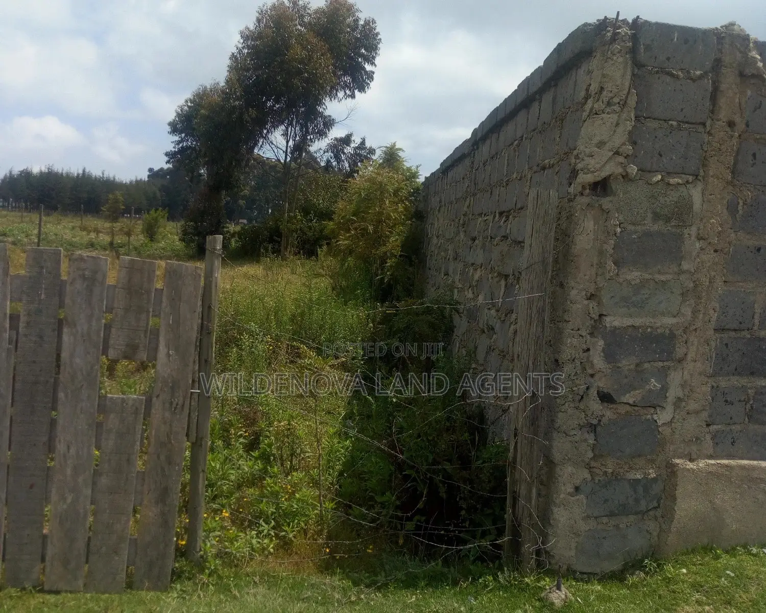 50*100 Square Meters Plot Adjacent to Flyover - Limited Time Offer! in Magumu