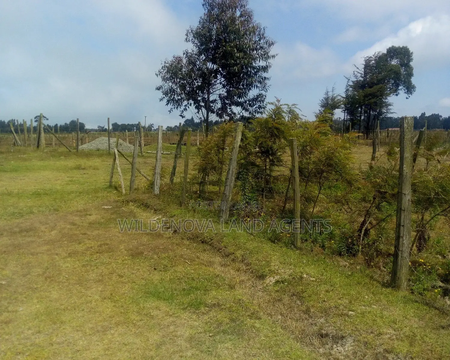 50*100 Square Meters Plot Adjacent to Flyover - Limited Time Offer! in Magumu