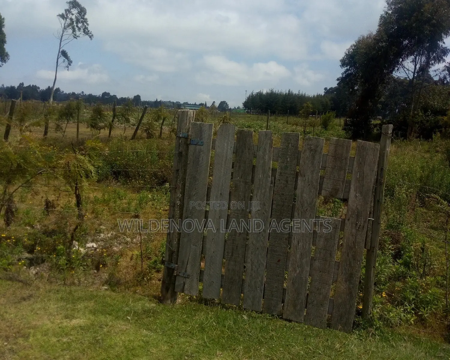 50*100 Square Meters Plot Adjacent to Flyover - Limited Time Offer! in Magumu