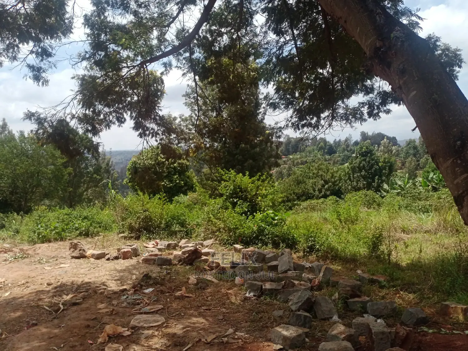 Nyeri/Gatitu Prime Plots in Gatitu