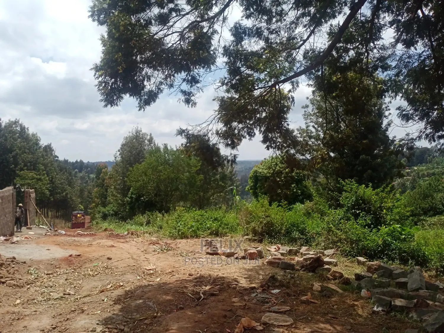 Nyeri/Gatitu Prime Plots in Gatitu
