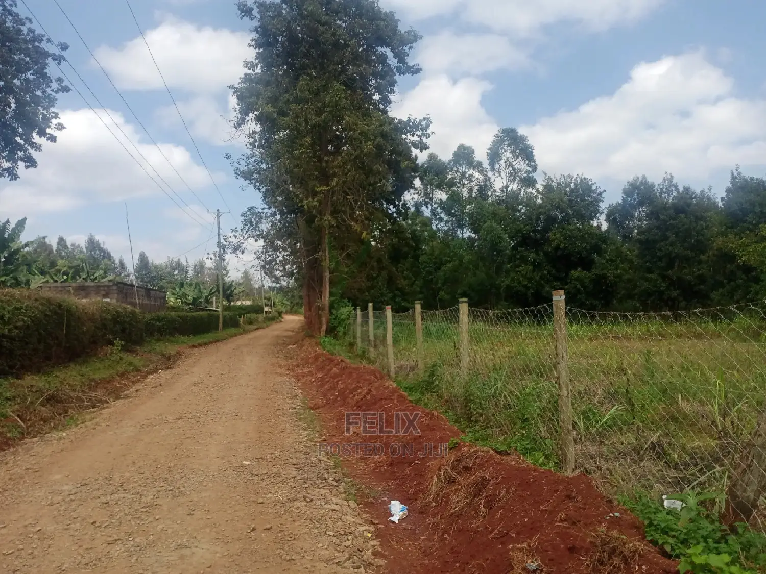 Nyeri /Gatitu Quarter Plots in Gatitu