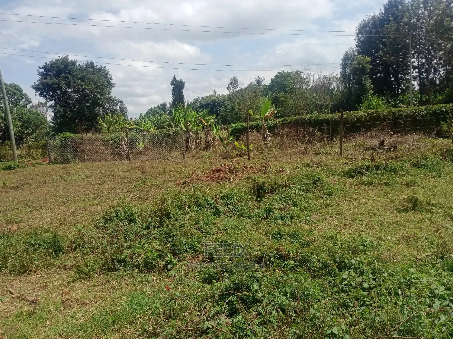 Nyeri /Gatitu Quarter Plots in Gatitu