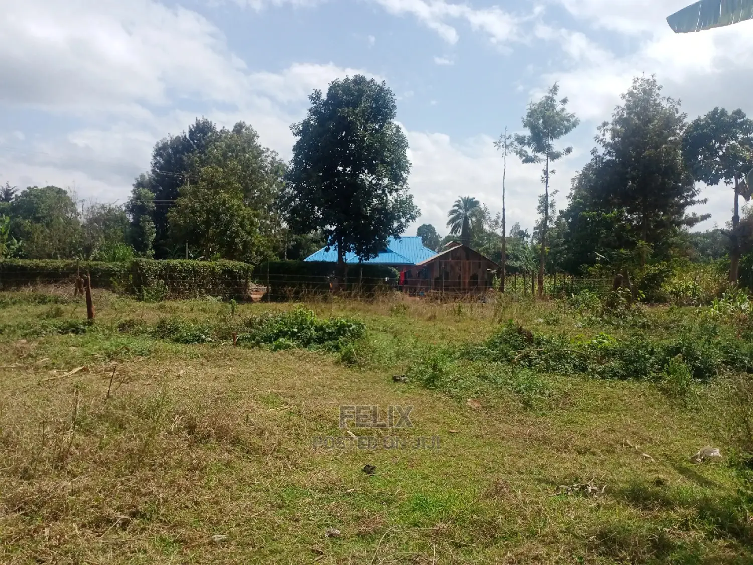 Nyeri /Gatitu Quarter Plots in Gatitu