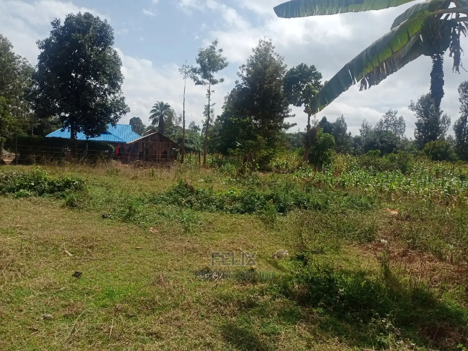 Nyeri /Gatitu Quarter Plots in Gatitu