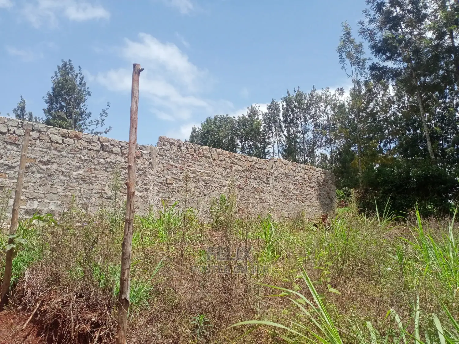 Karatina Quarter Plots 100/100 in Karatina Town
