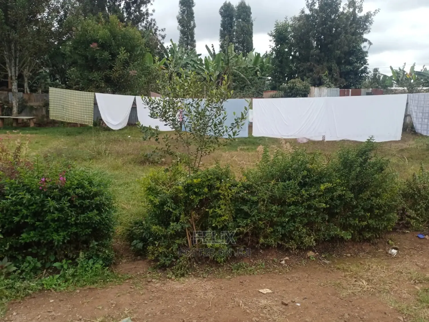 Karatina Quarter Plots 100/100 in Karatina Town