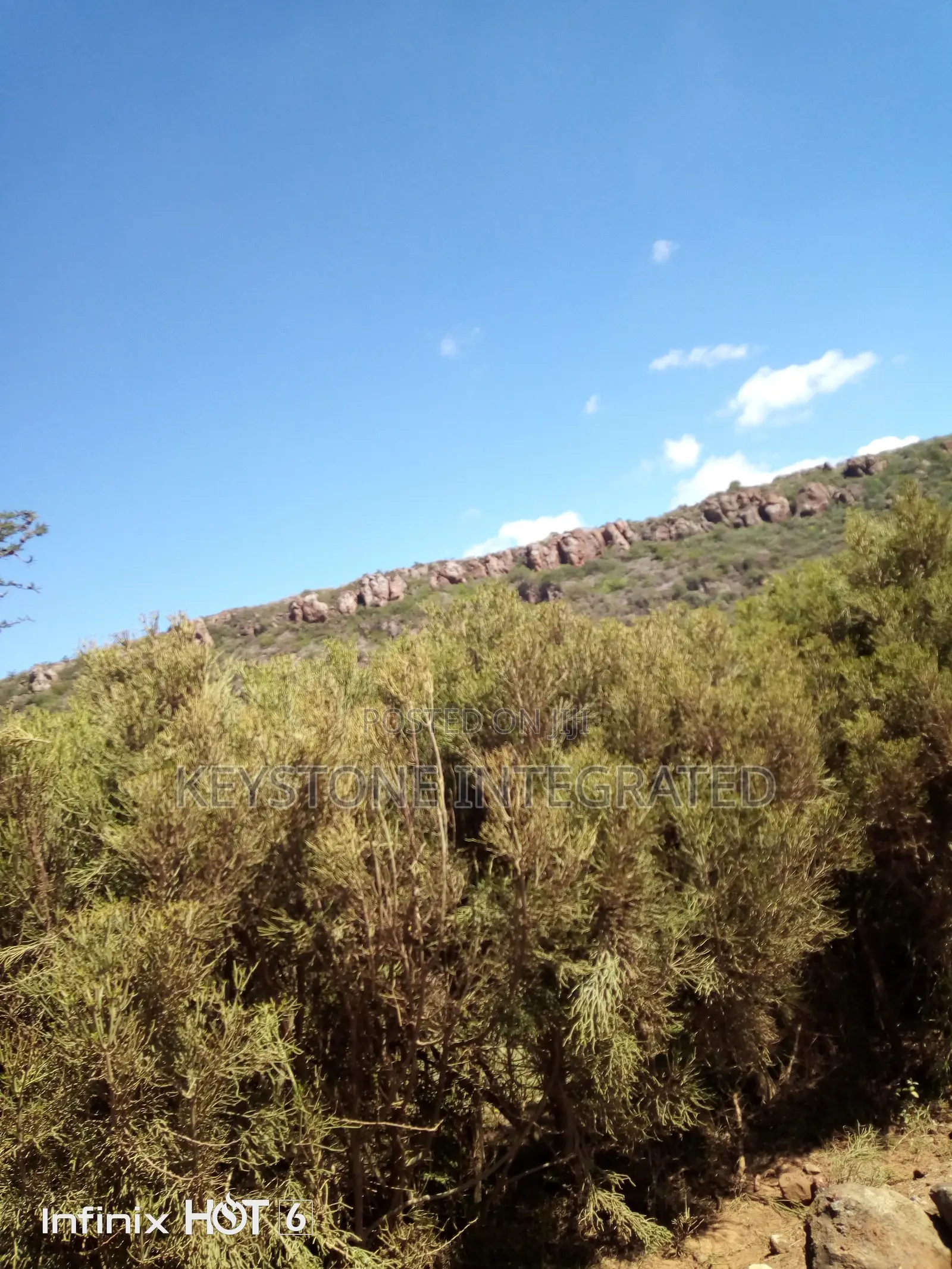37 Acre Land for Sale in Ewaso Kedong,Kajiado in Ewaso Kendong