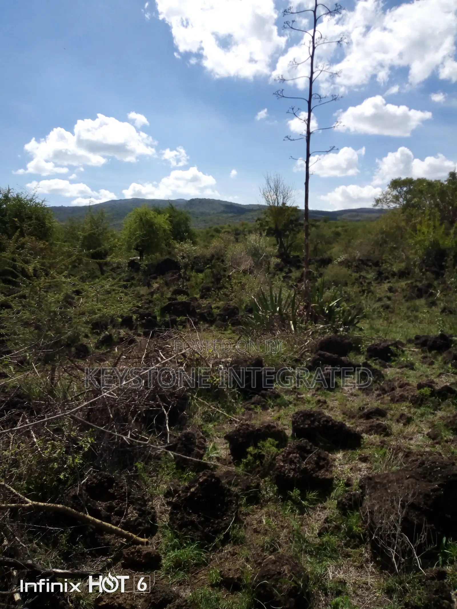 37 Acre Land for Sale in Ewaso Kedong,Kajiado in Ewaso Kendong