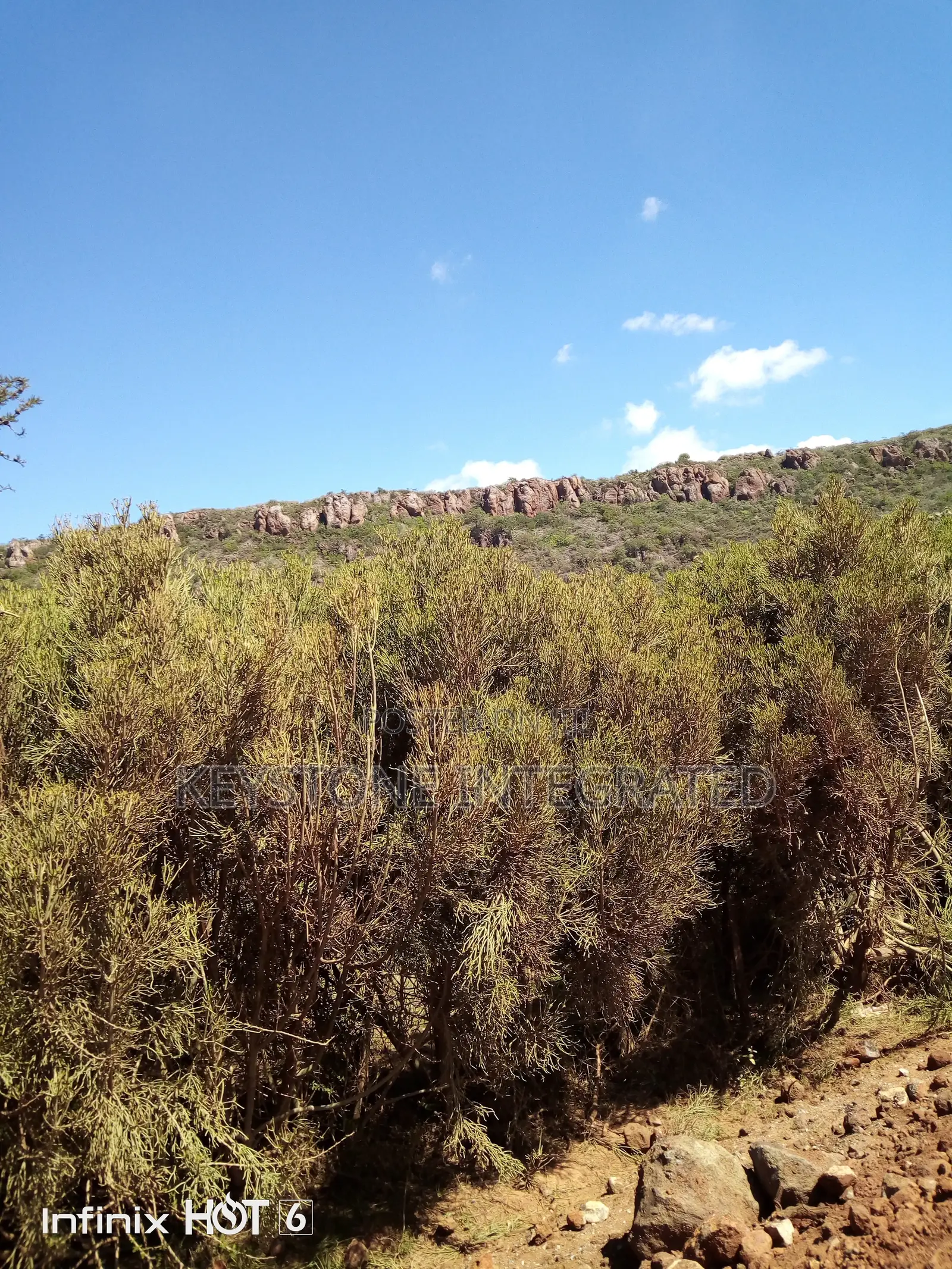 37 Acre Land for Sale in Ewaso Kedong,Kajiado in Ewaso Kendong