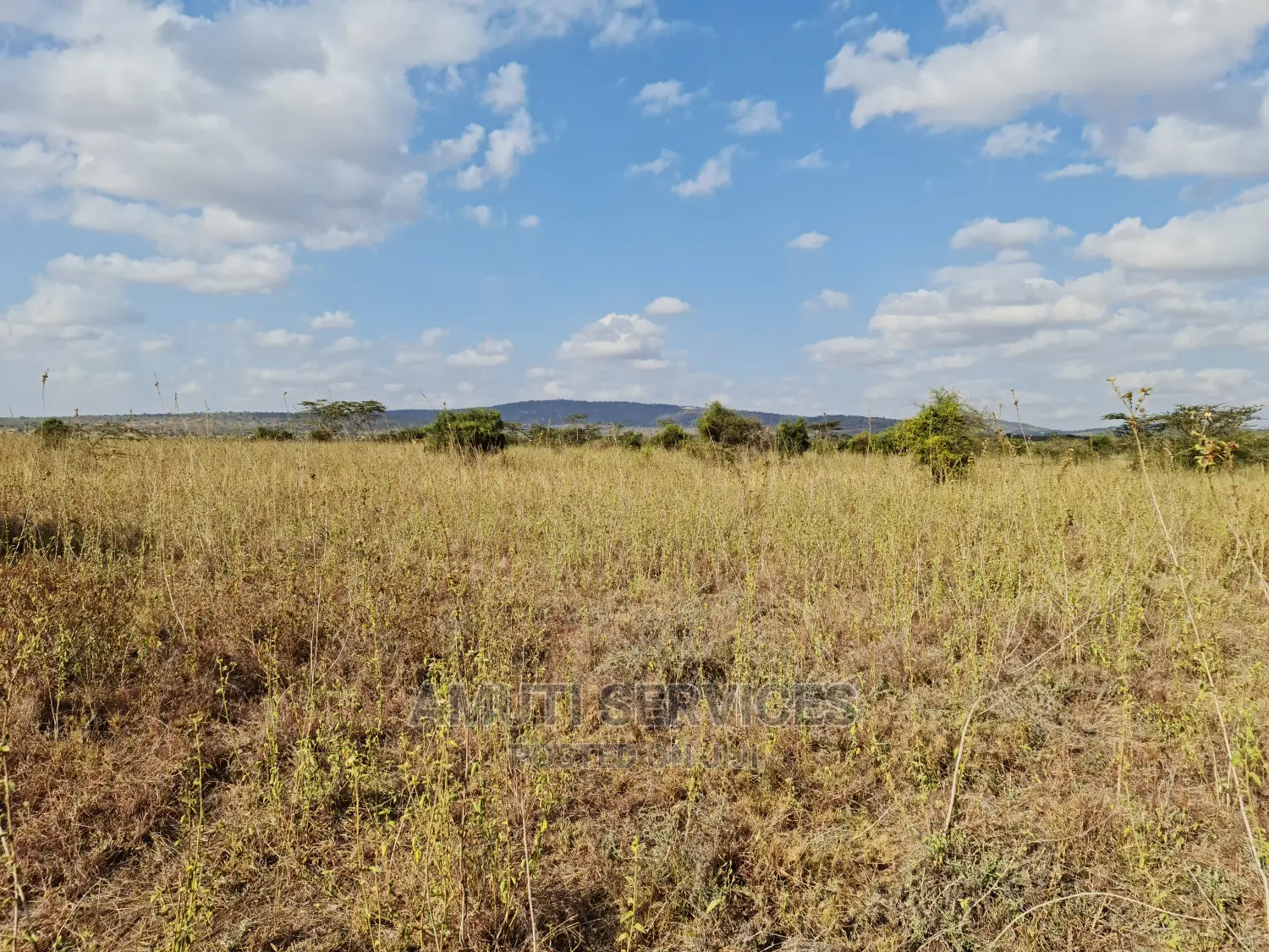Invest in a 5-Acre Property on Mombasa Road, Maanzoni in Lukenya