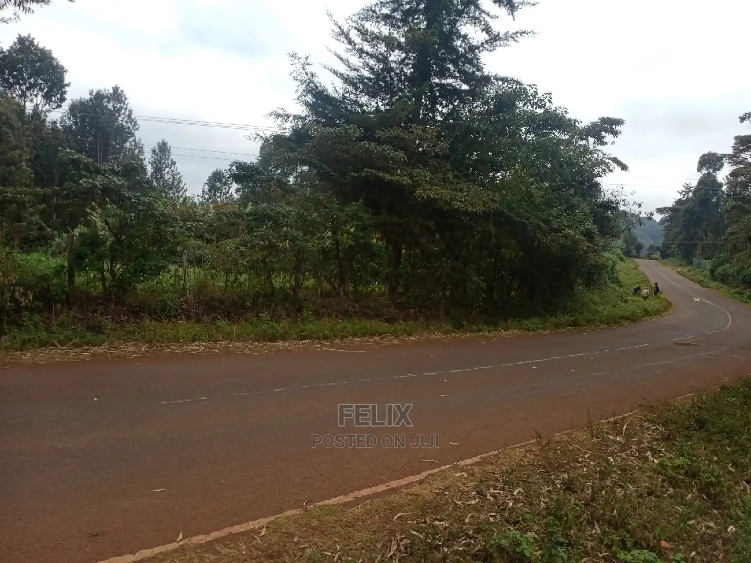 Karatina /Half Acre Touching Tarmac in Karatina Town