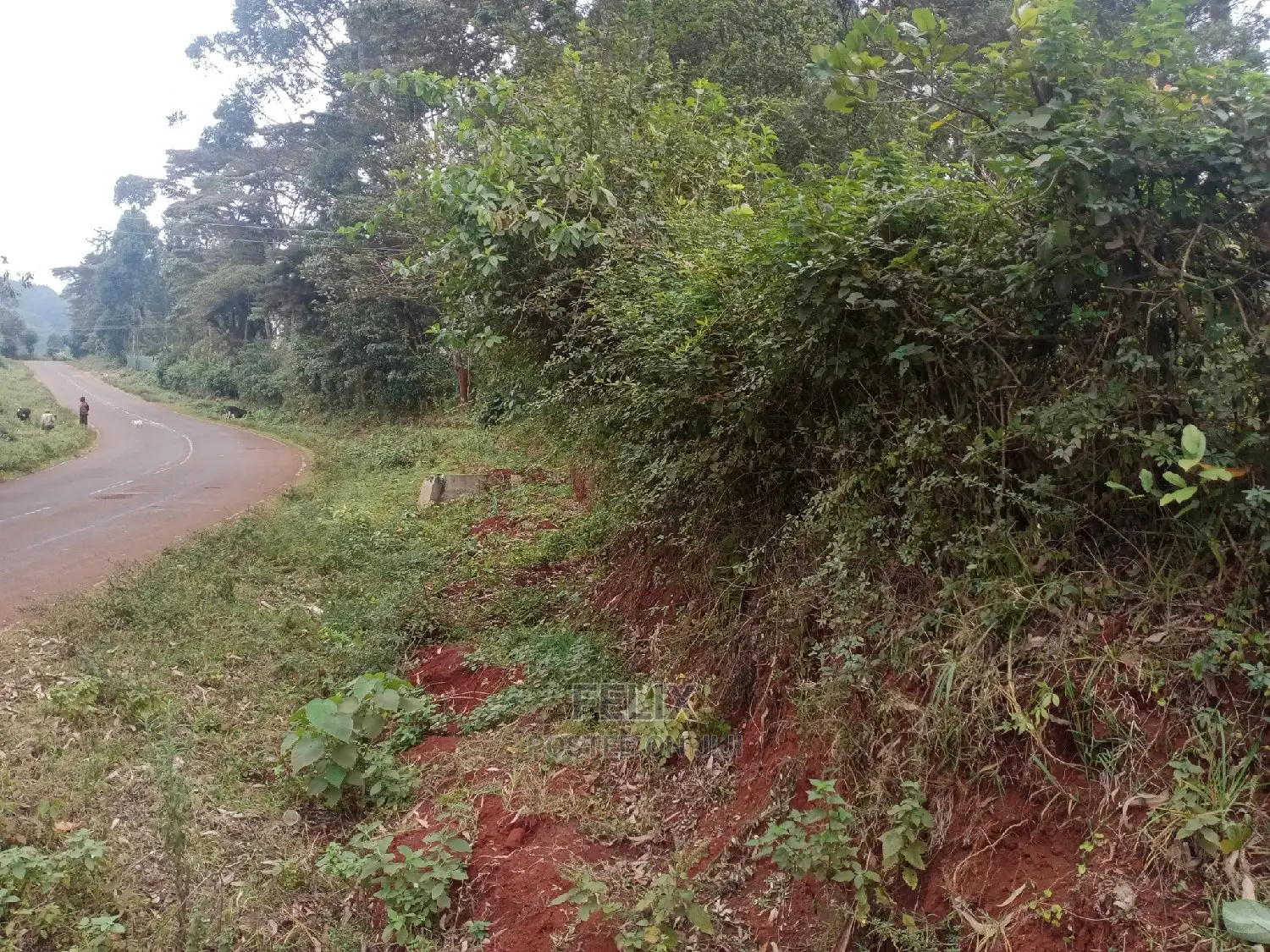 Karatina /Half Acre Touching Tarmac in Karatina Town