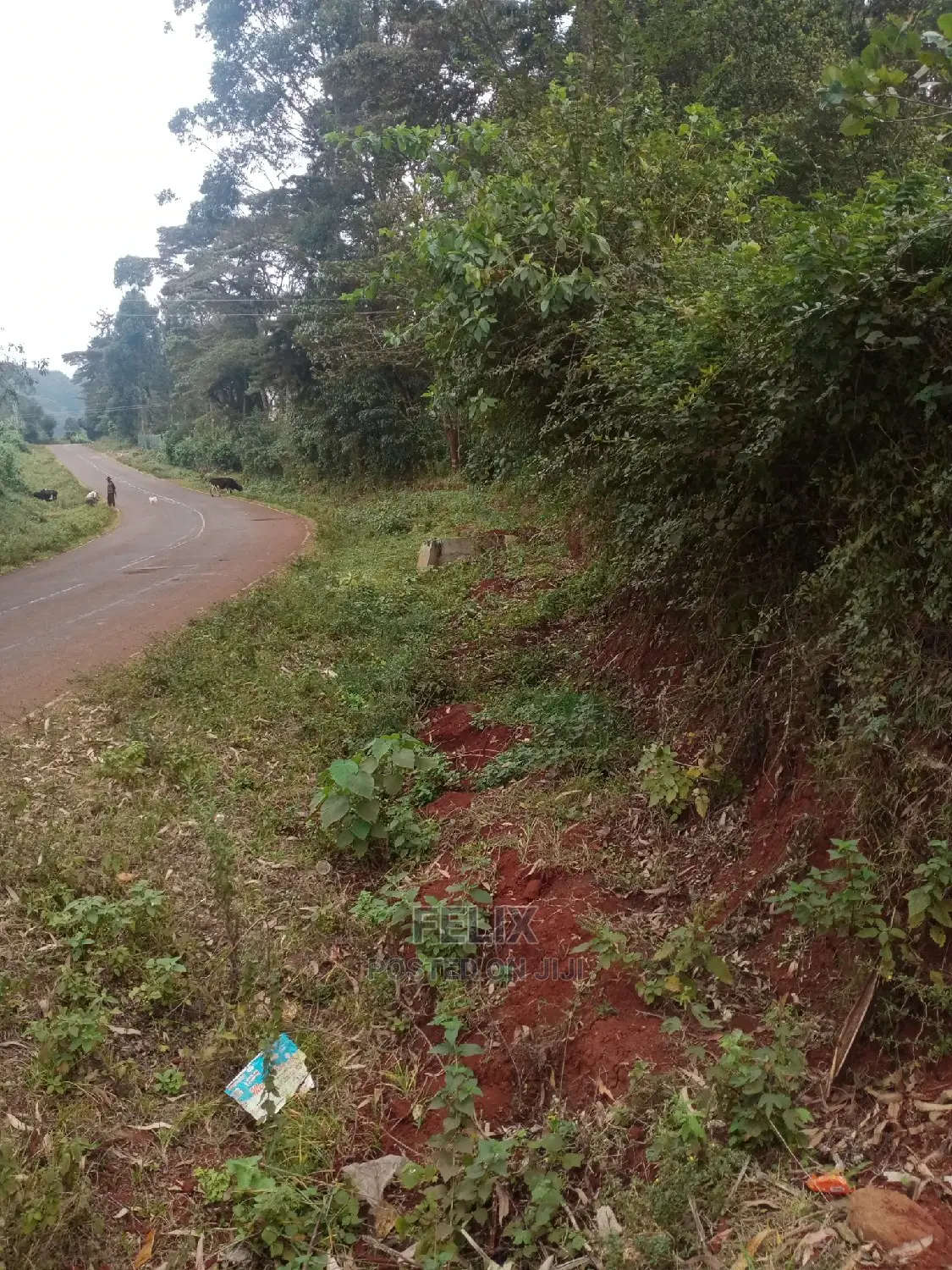 Karatina /Half Acre Touching Tarmac in Karatina Town