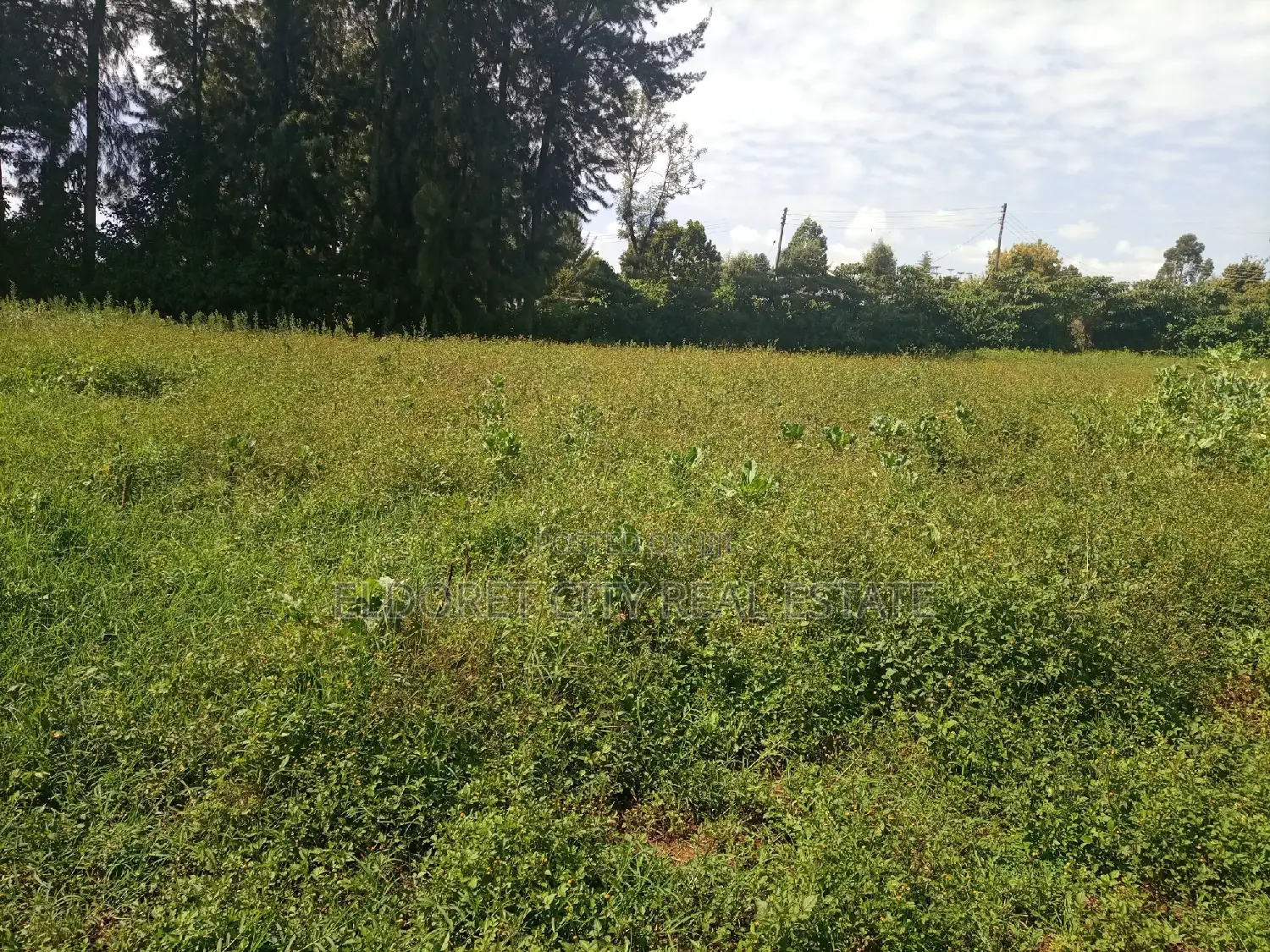 Prime 1/4 Plot in Kaplelach - 150m from Tarmac Accessibility in Soy