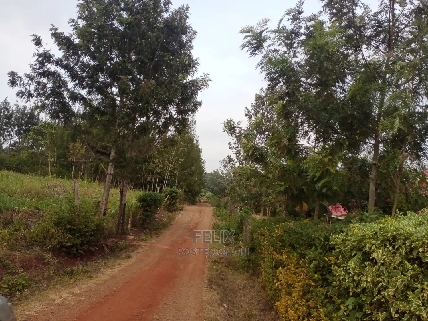 Plots on Sale Ndurutu/Kericho in Kiganjo