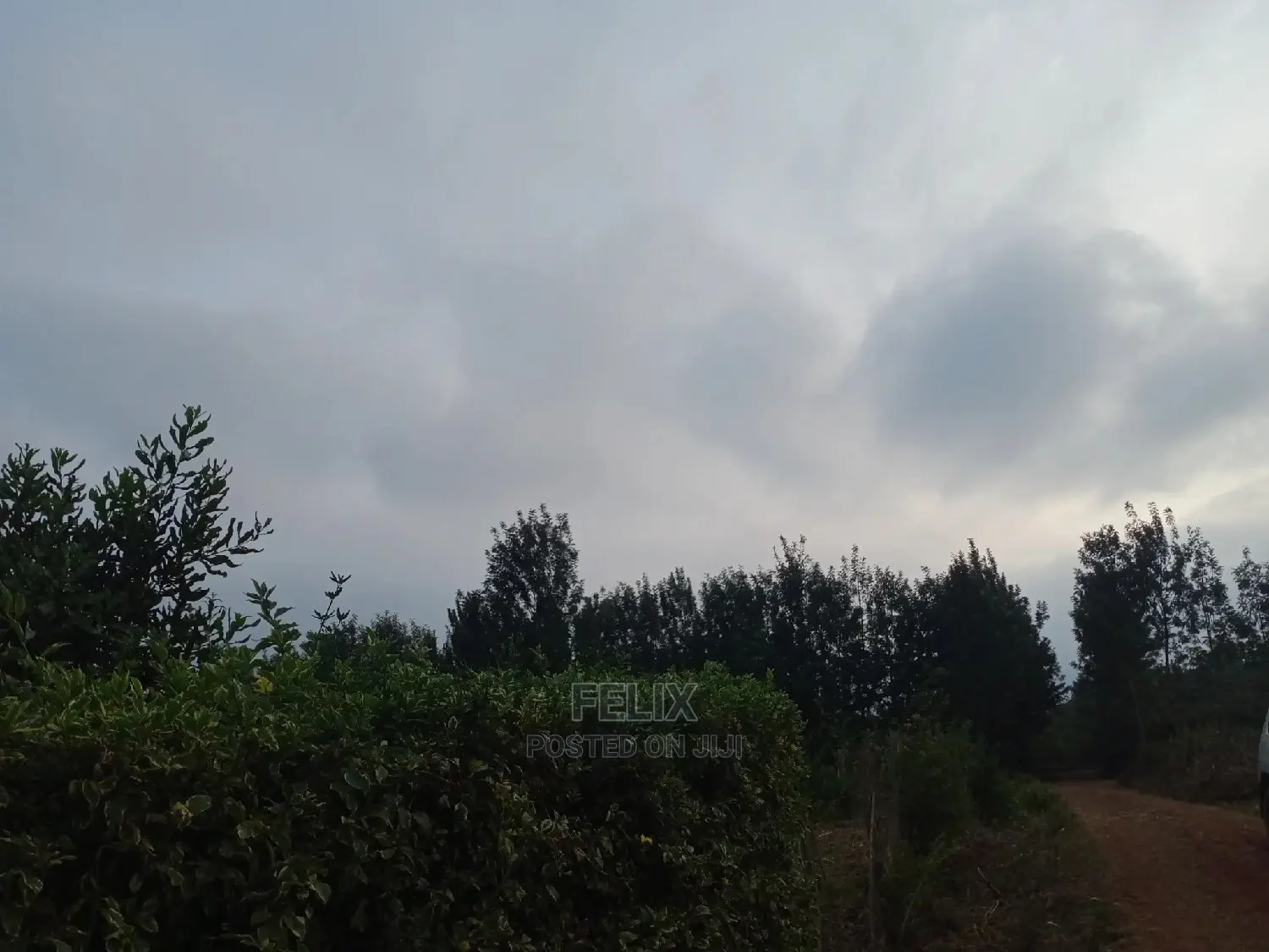 Plots on Sale Ndurutu/Kericho in Kiganjo