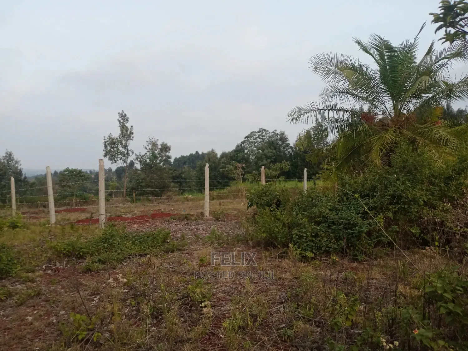 Plots on Sale Ndurutu/Kericho in Kiganjo