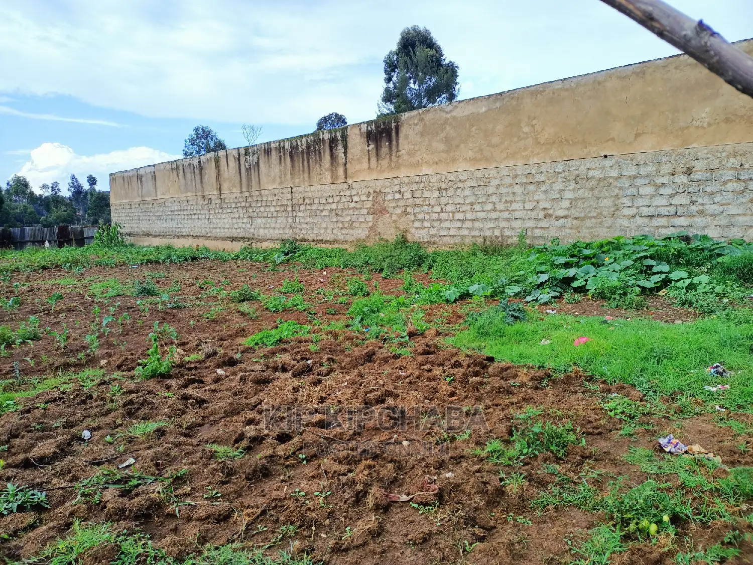 Prime 1/2 Acre Property for Sale in Pioneer Eldoret in Pioneer Estate