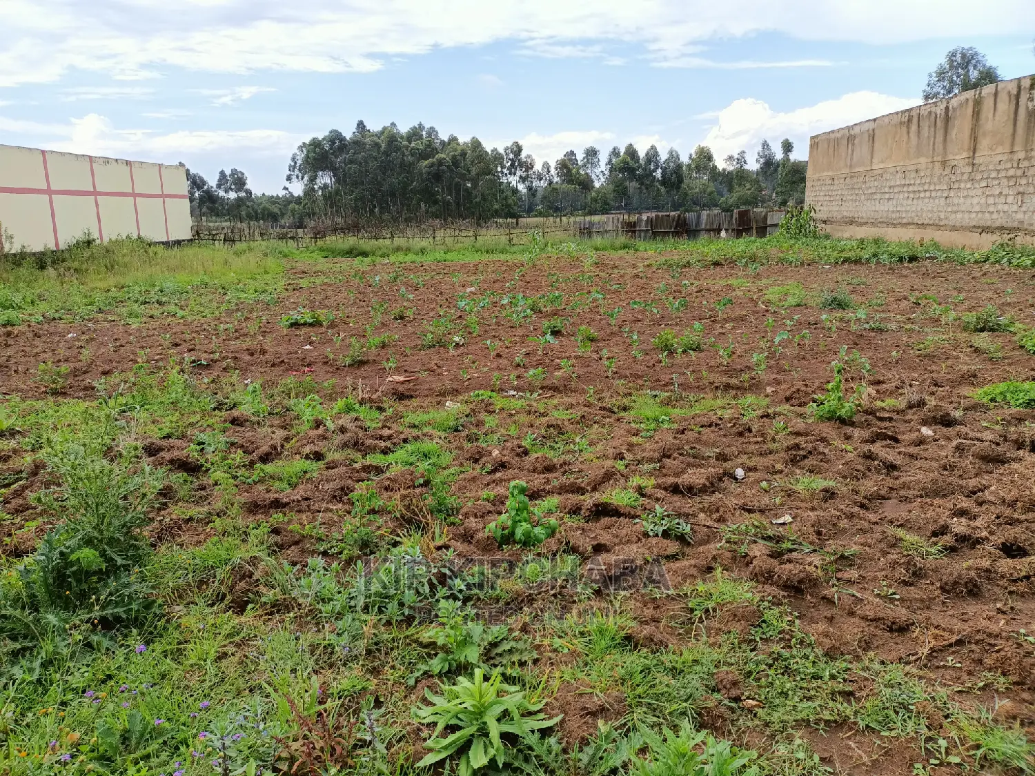 Prime 1/2 Acre Property for Sale in Pioneer Eldoret in Pioneer Estate