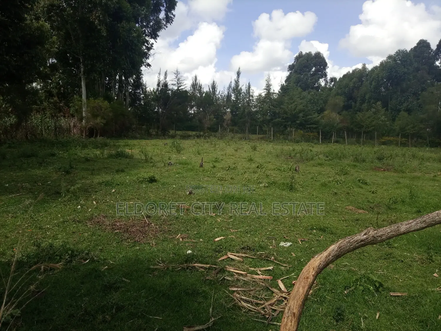 Pazuri 1/4 Acre Annex Plot with Title - Invest Today in Soy