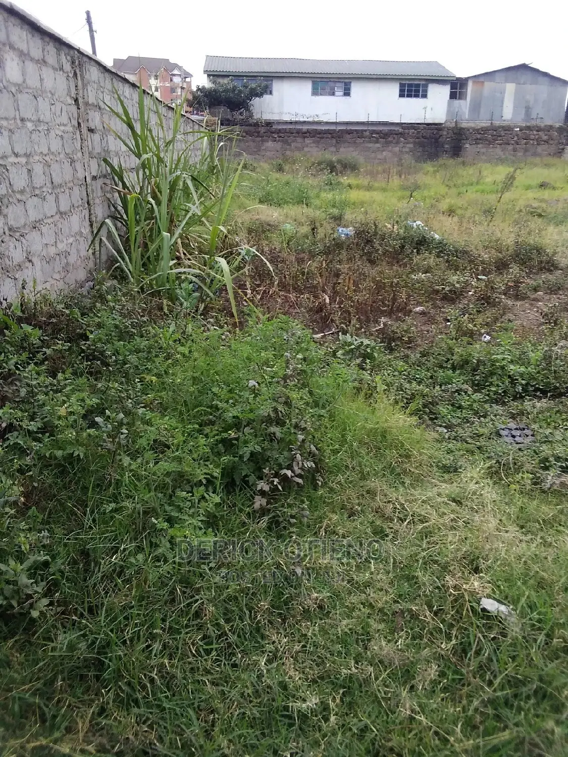 . Wanye Road: Land Plot for Sale Now in Kilimani