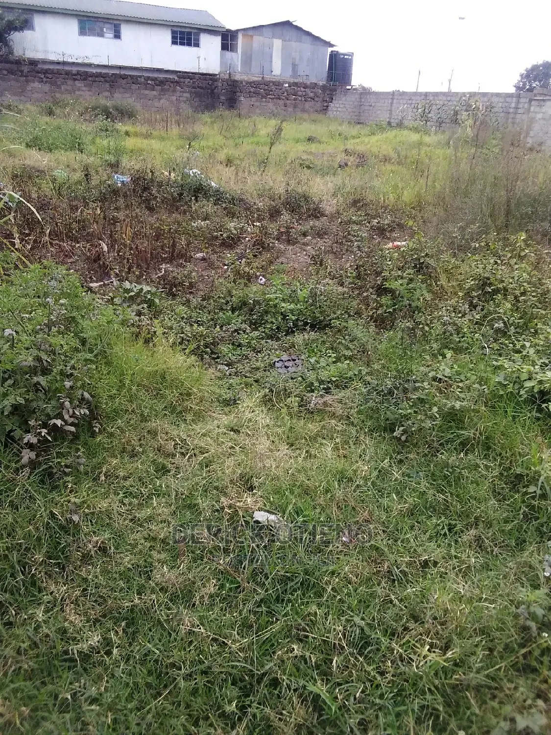 . Wanye Road: Land Plot for Sale Now in Kilimani