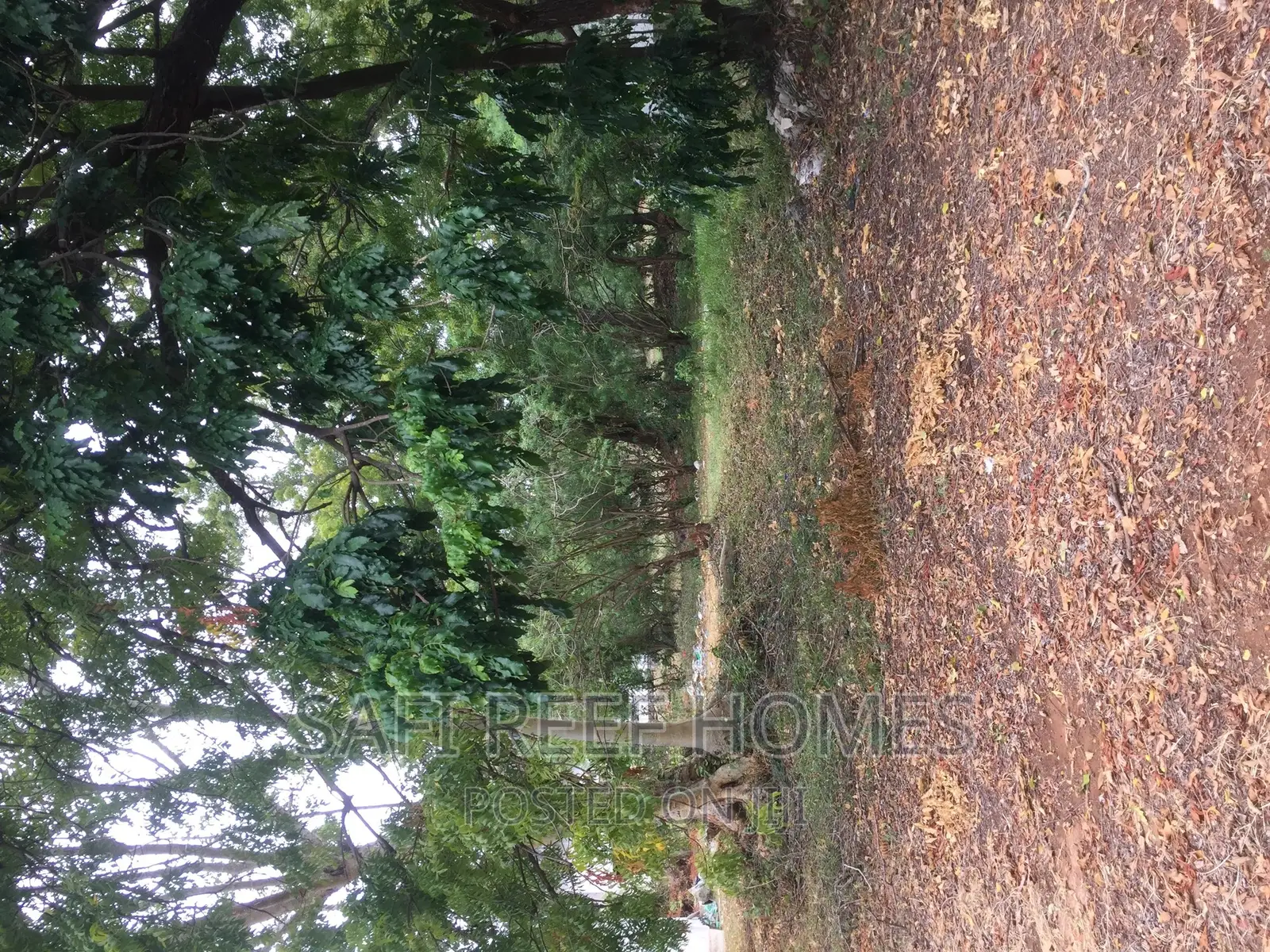 Ideal 3/4 Acre Land Opportunity in Links Road, Nyali for Sale in Nyali