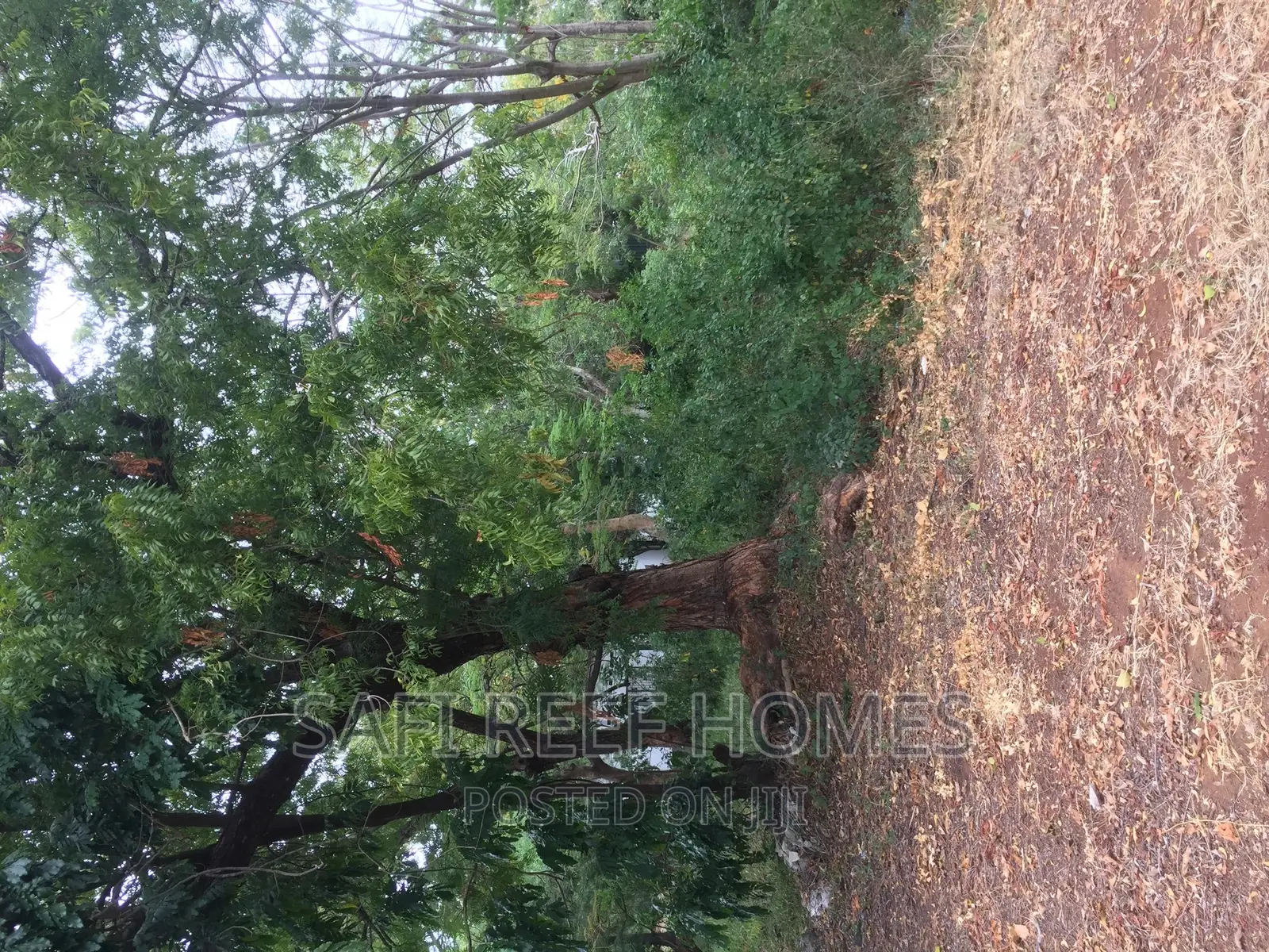 Ideal 3/4 Acre Land Opportunity in Links Road, Nyali for Sale in Nyali