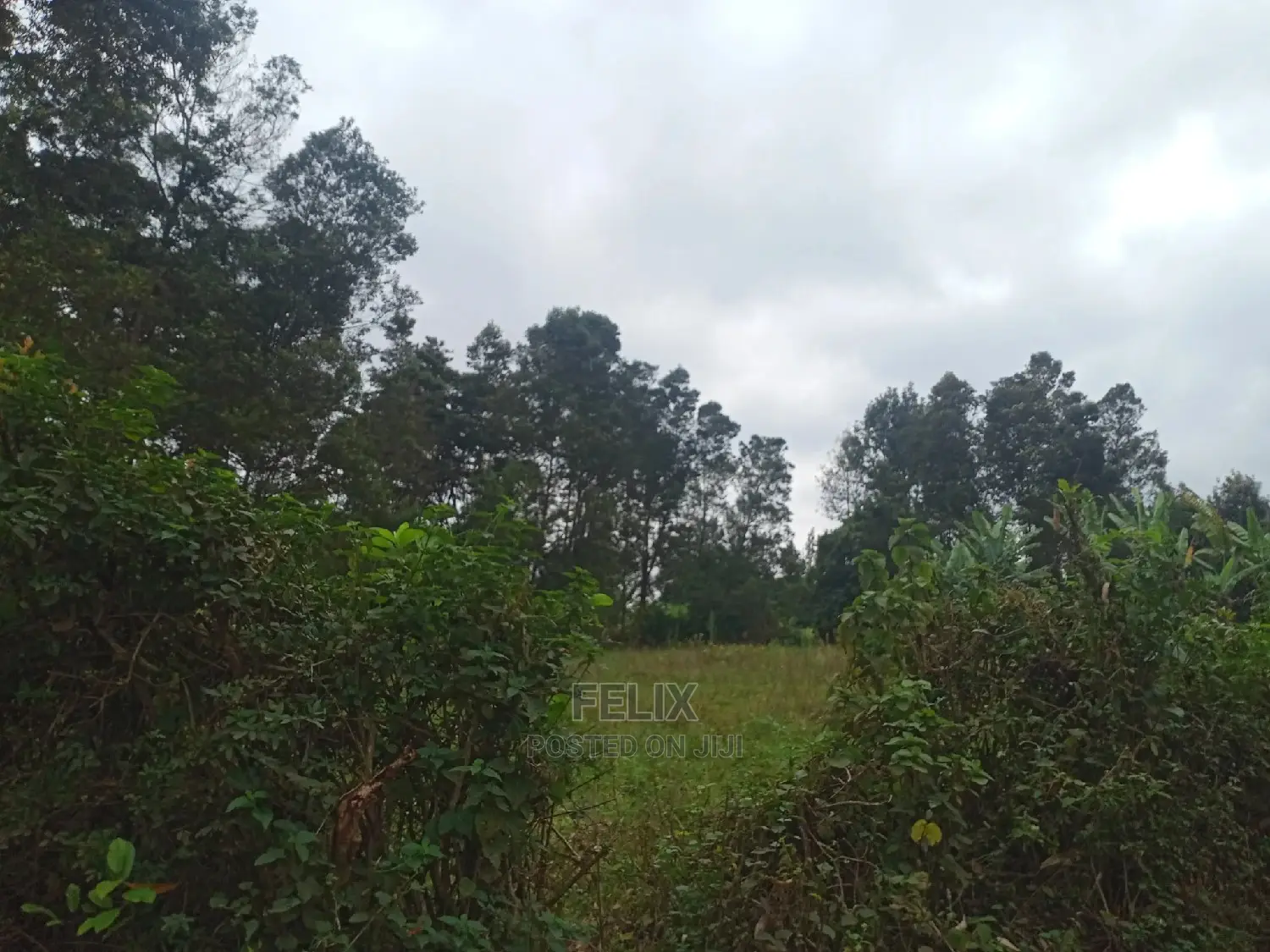 3 Acres on Sale Karatina /Kabiruini in Karatina Town