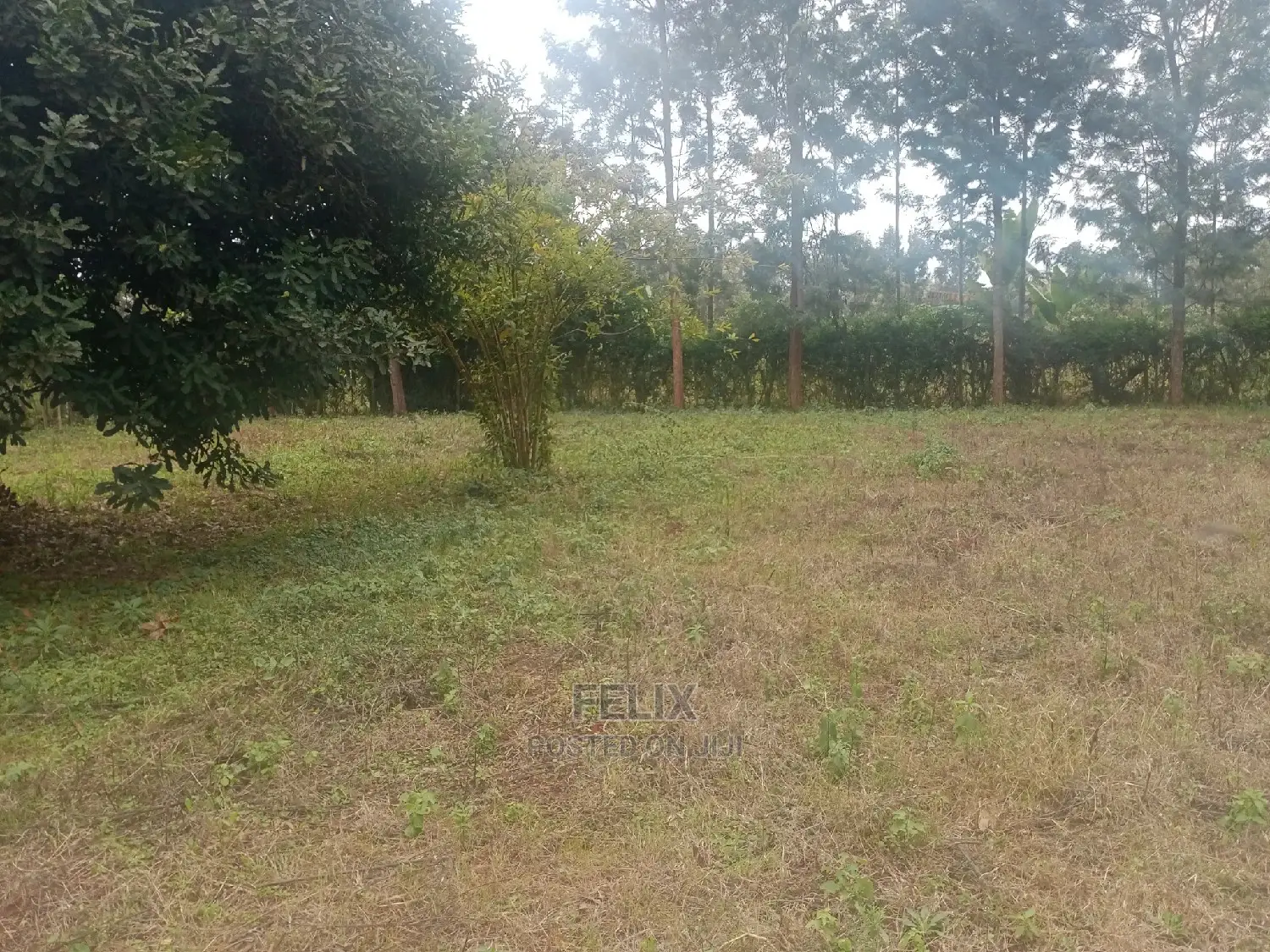 3 Acres on Sale Karatina /Kabiruini in Karatina Town