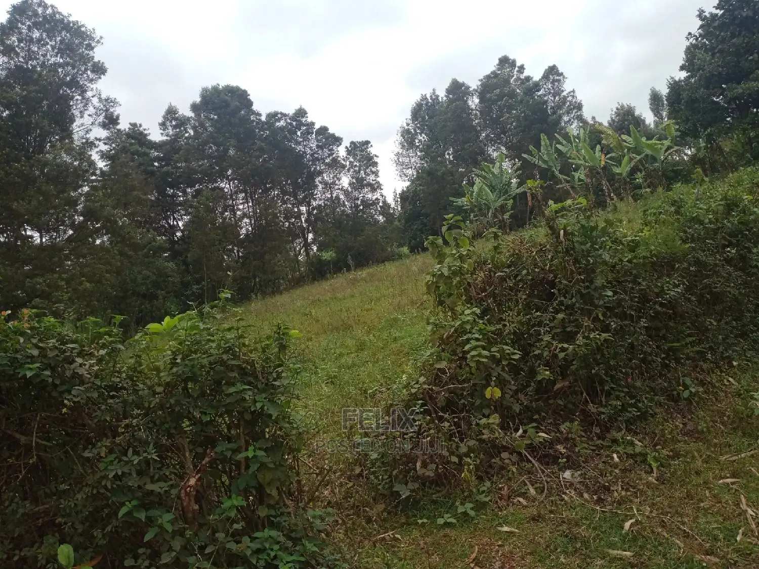 3 Acres on Sale Karatina /Kabiruini in Karatina Town