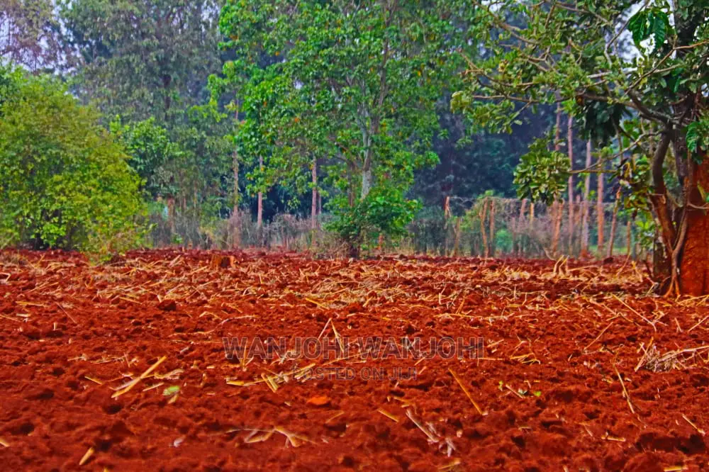 Prime Land: Your Next Real Estate Investment in Nanyuki