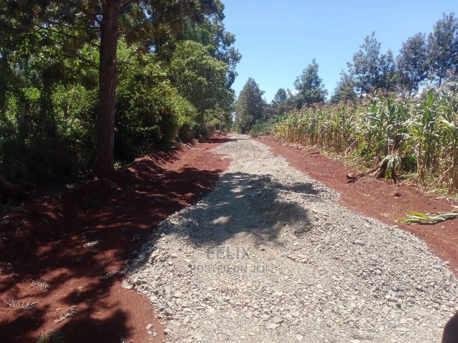 Gatitu/Nyeri 50/100 Prime Plots in Nyeri Town