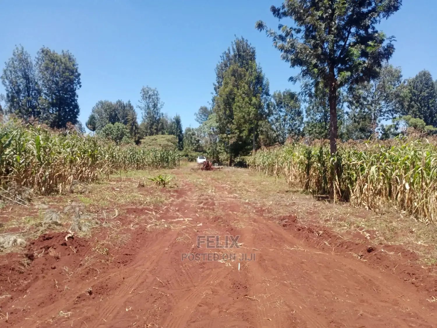 Gatitu/Nyeri 50/100 Prime Plots in Nyeri Town