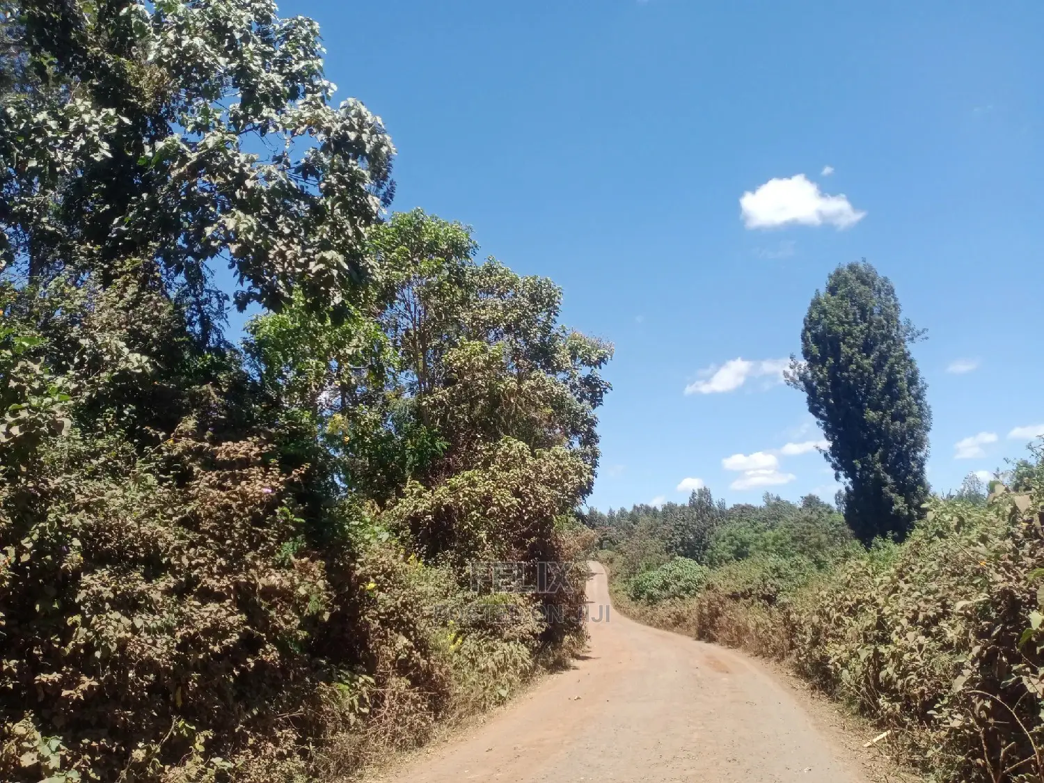 Gatitu/Nyeri 50/100 Prime Plots in Nyeri Town
