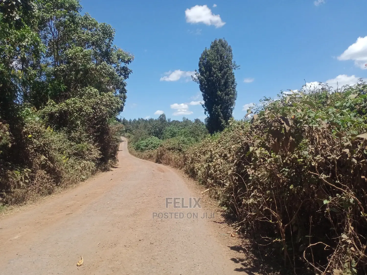 Gatitu/Nyeri 50/100 Prime Plots in Nyeri Town