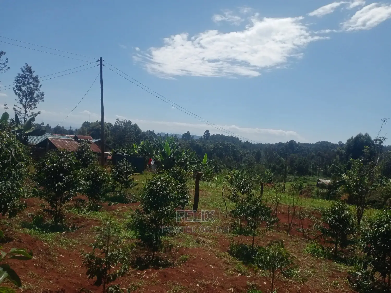 Karatina Mwanda Quarter Plot in Karatina Town