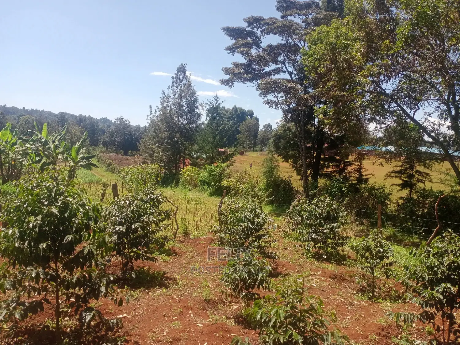Karatina Mwanda Quarter Plot in Karatina Town